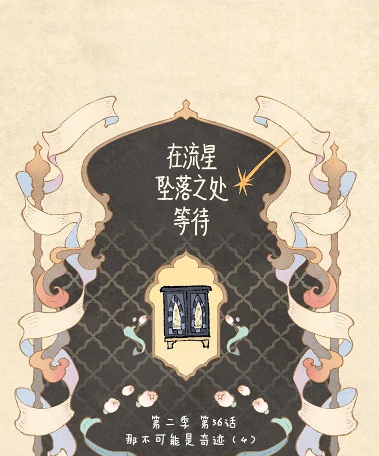 《在流星坠落之处等待》90.那不可能是奇迹（4） 第17页