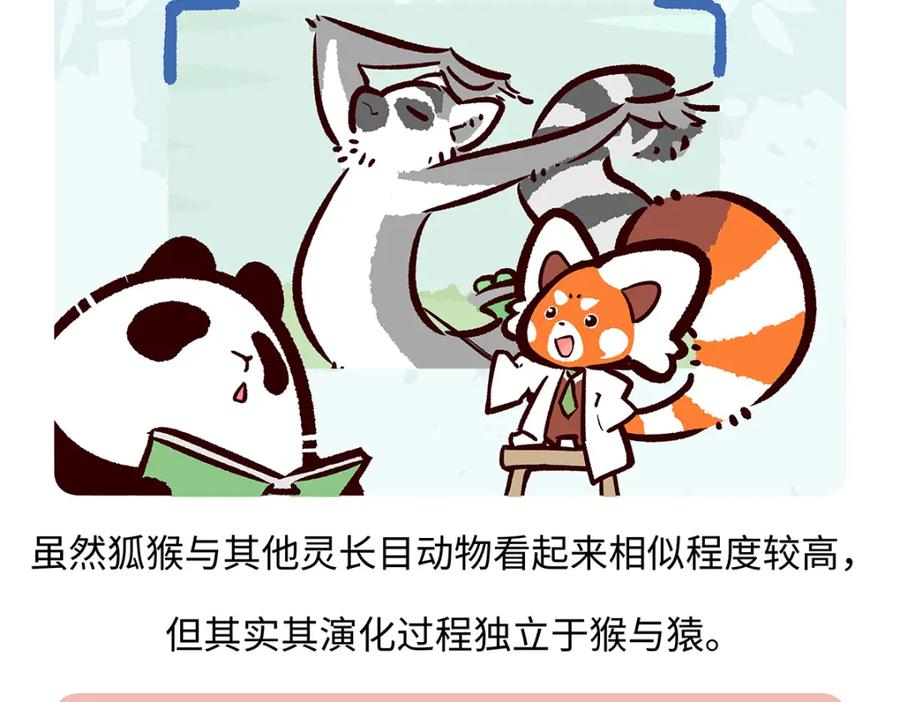 《胖达x胖达》第265话 第14页