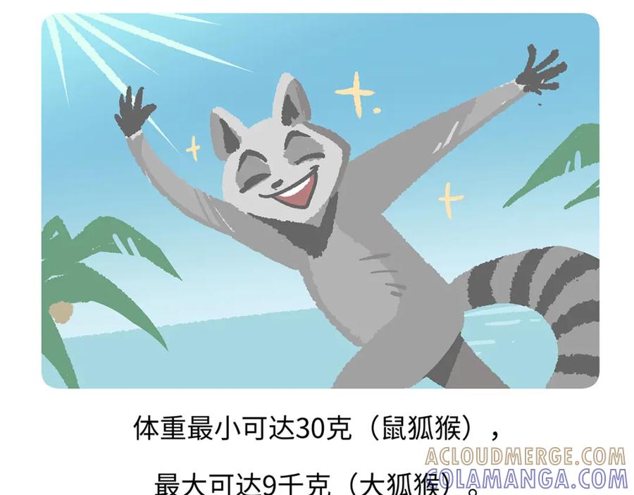 《胖达x胖达》第265话 第17页