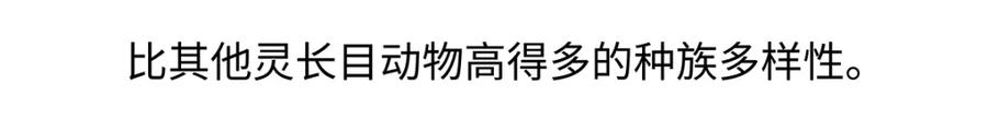 《胖达x胖达》第265话 第16页