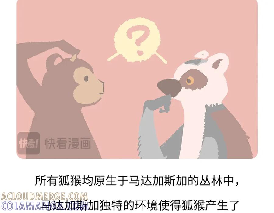 《胖达x胖达》第265话 第15页