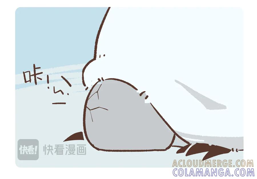 《胖达x胖达》第275话 第9页