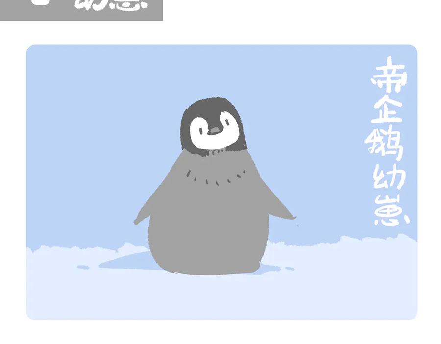 《胖达x胖达》第275话 第2页
