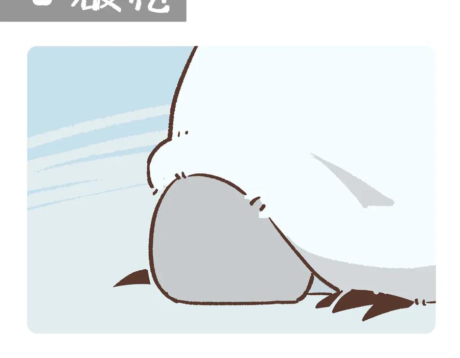 《胖达x胖达》第275话 第8页