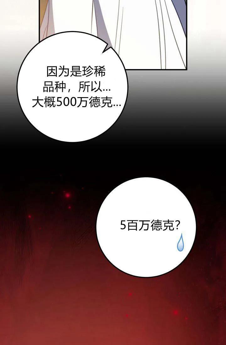 《成为即将灭亡家族的合约女儿》第20话 第66页