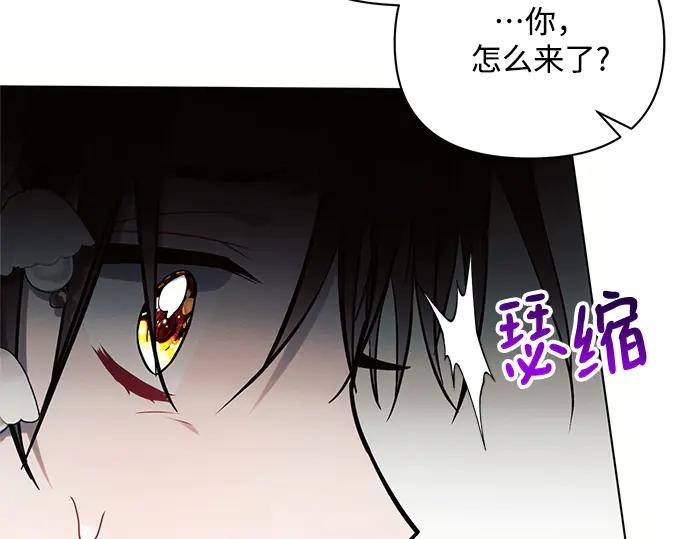 《黑暗皇女：雅什泰洛迪》第62话 第186页