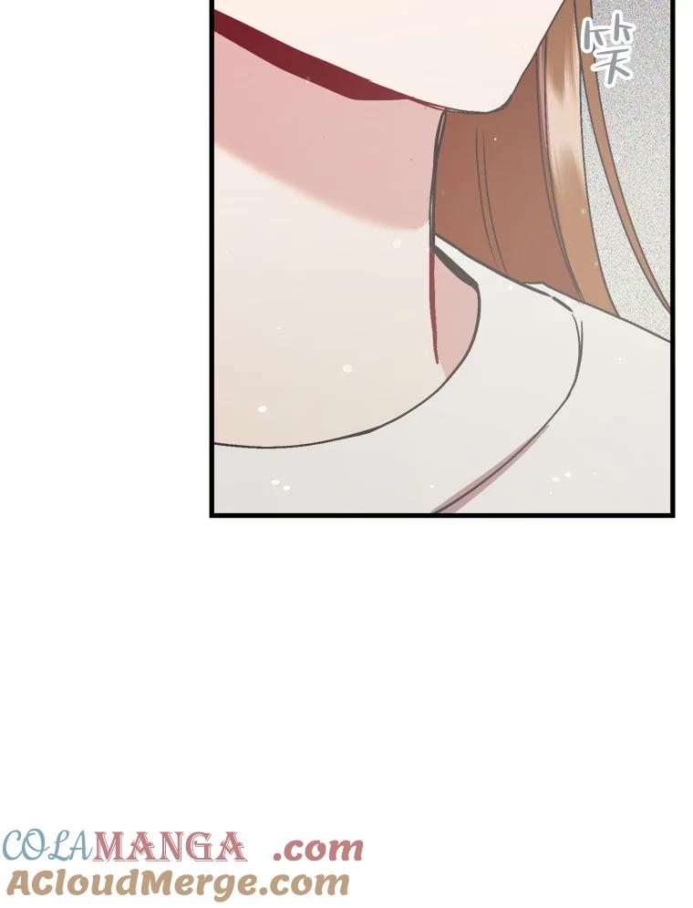 《第二个丈夫》68.试探 第101页