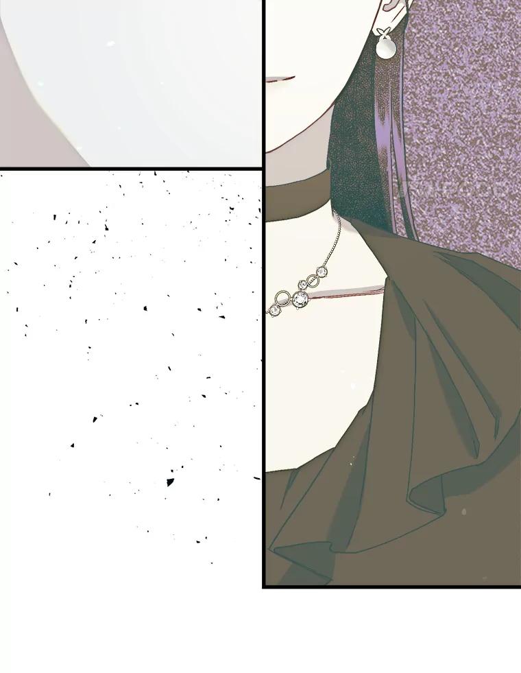 《第二个丈夫》68.试探 第119页