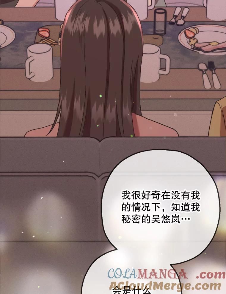《第二个丈夫》68.试探 第25页