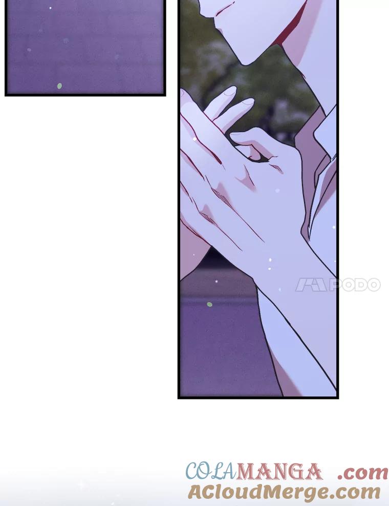 《第二个丈夫》68.试探 第53页