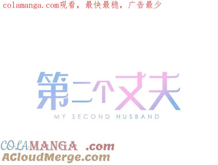 《第二个丈夫》68.试探 第1页