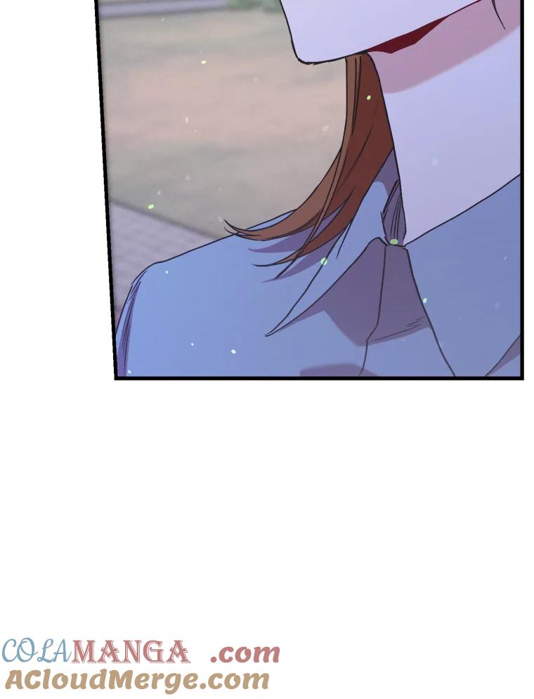 《第二个丈夫》68.试探 第33页