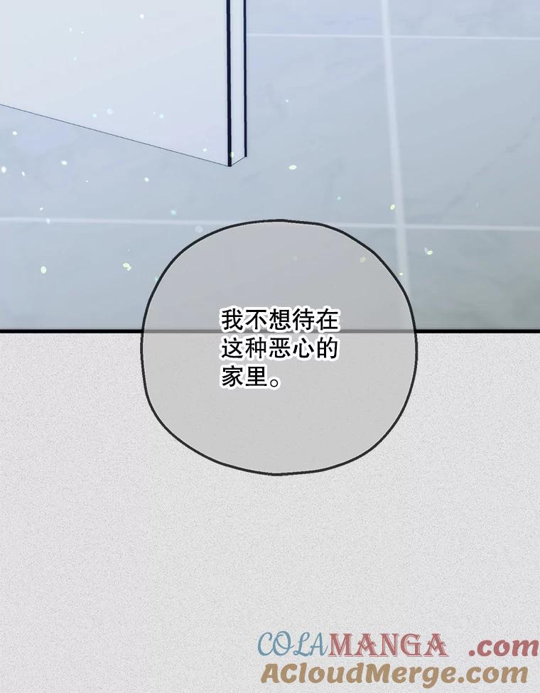 《第二个丈夫》69.出轨的真相 第65页