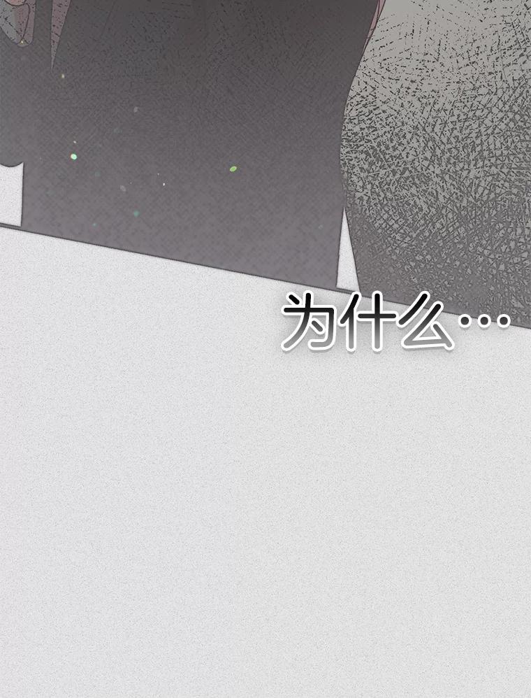 《第二个丈夫》69.出轨的真相 第112页