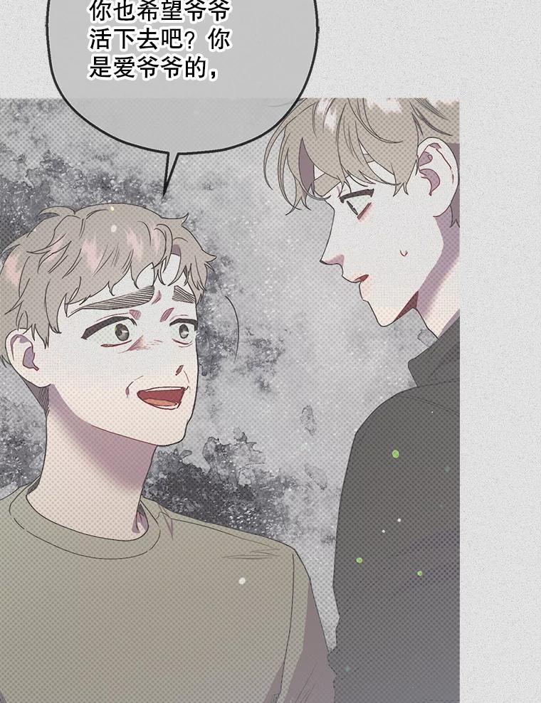 《第二个丈夫》69.出轨的真相 第104页