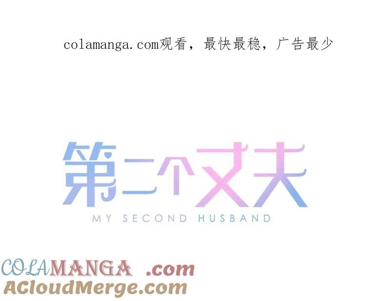 《第二个丈夫》69.出轨的真相 第1页
