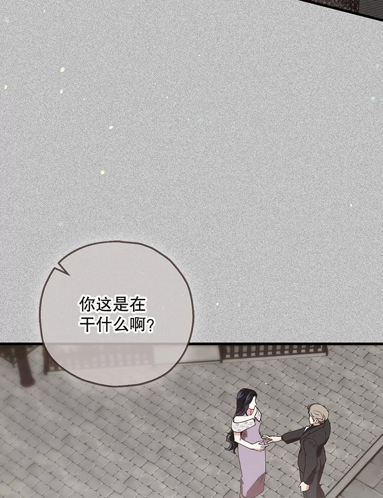 《第二个丈夫》71.走马灯 第28页