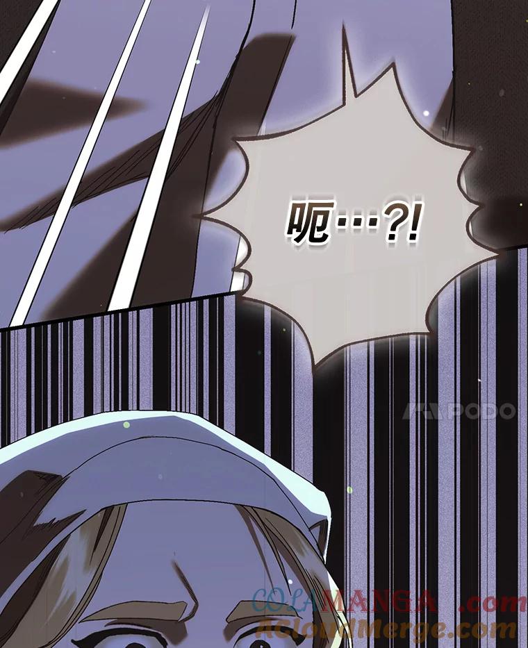 《第二个丈夫》71.走马灯 第133页