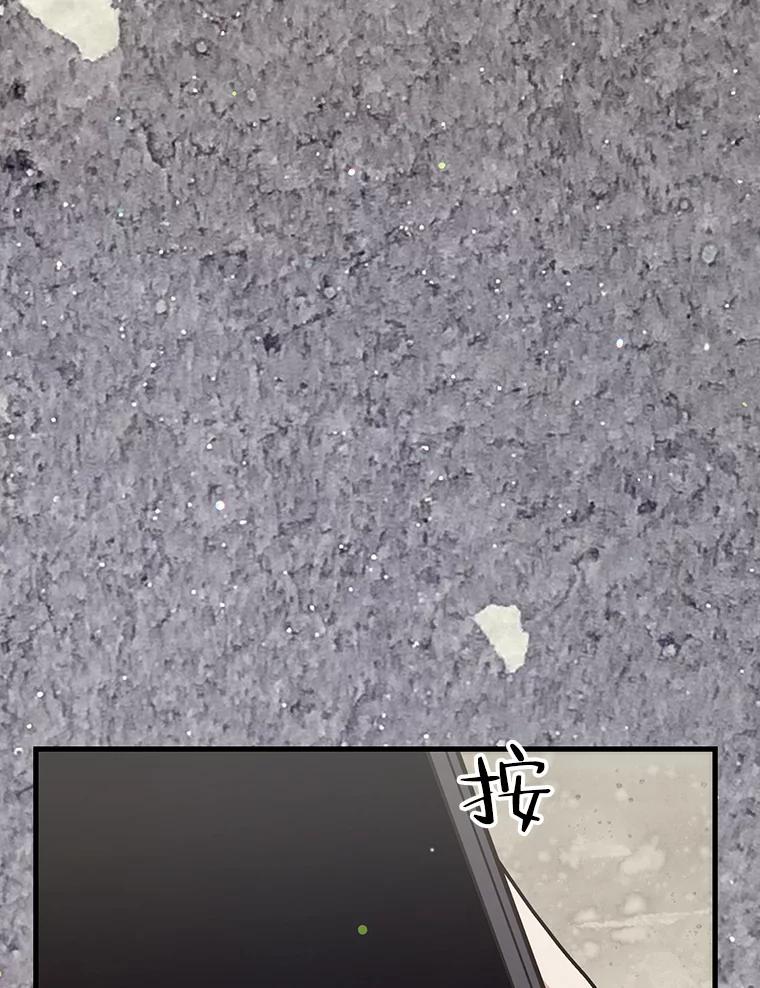 《第二个丈夫》71.走马灯 第63页