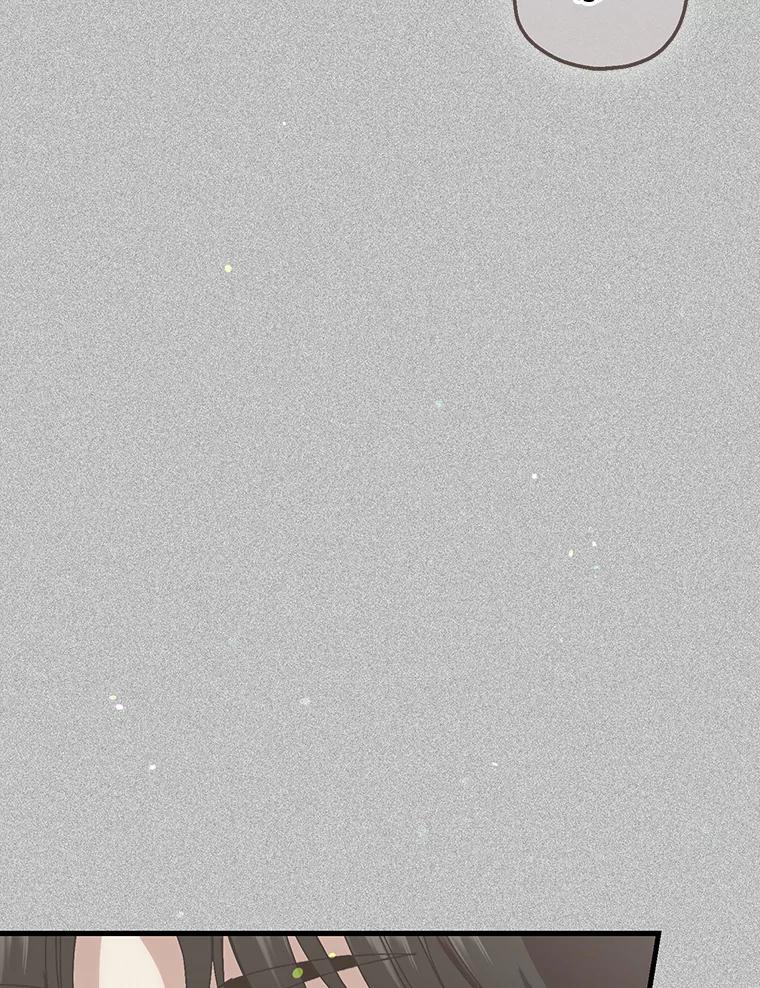 《第二个丈夫》71.走马灯 第56页
