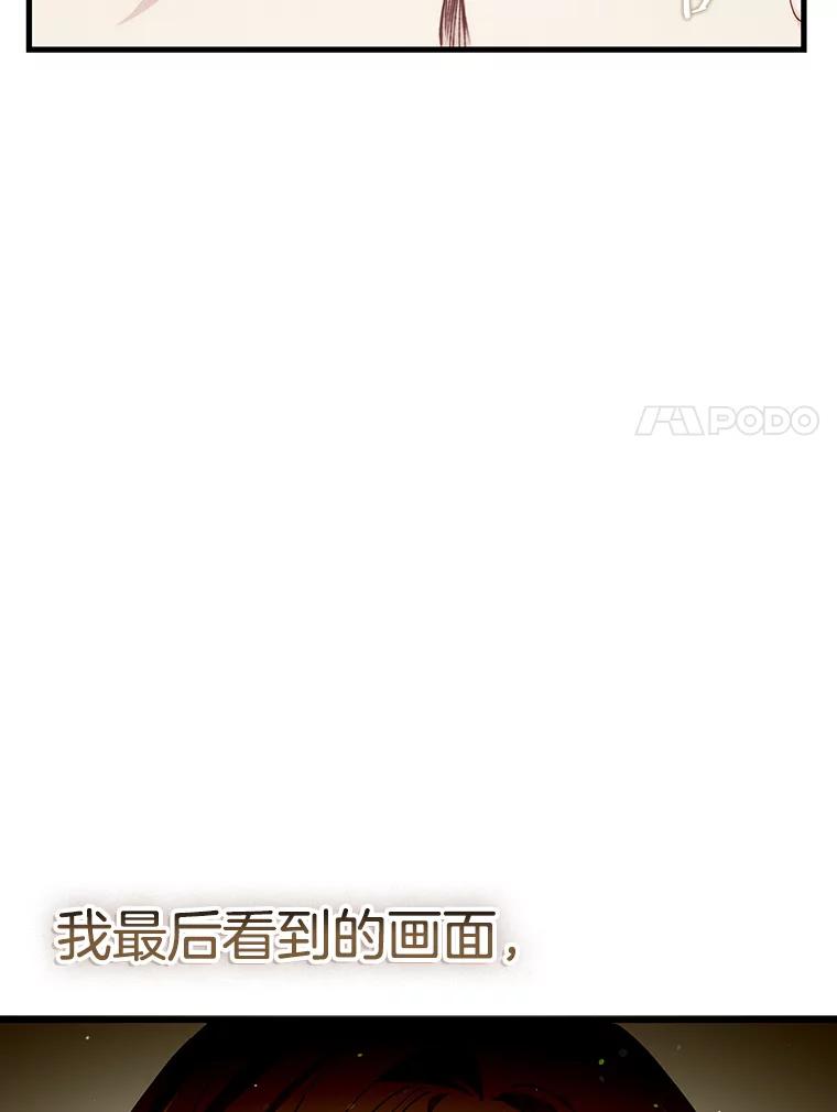 《第二个丈夫》71.走马灯 第8页