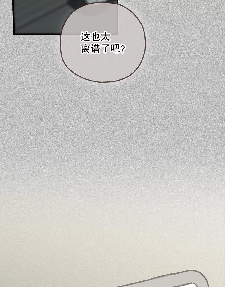 《第二个丈夫》71.走马灯 第100页