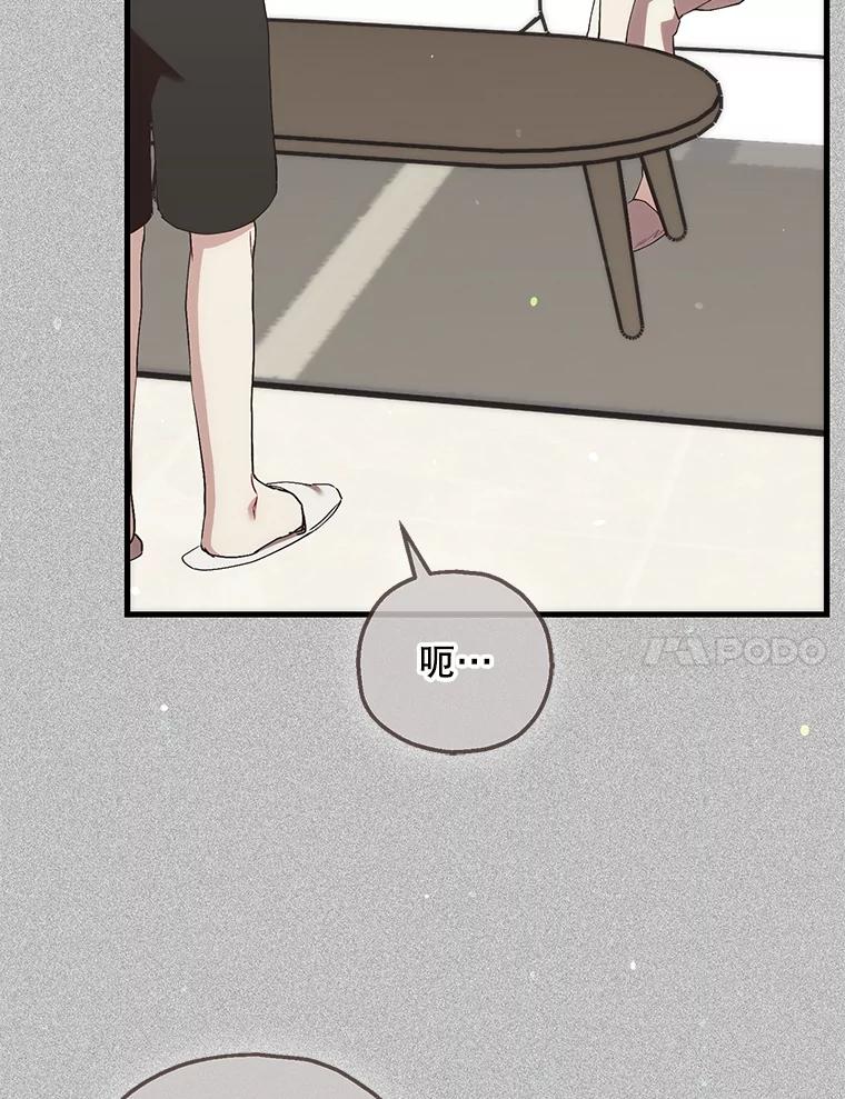 《第二个丈夫》71.走马灯 第47页