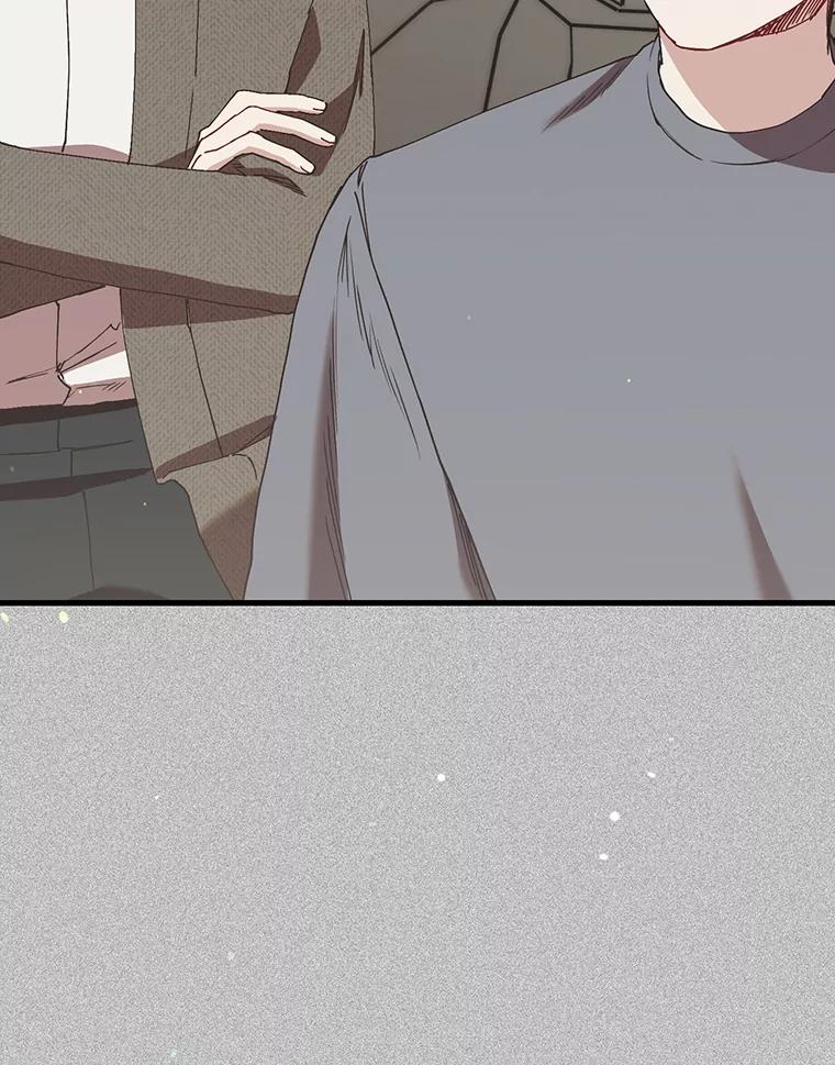 《第二个丈夫》71.走马灯 第104页