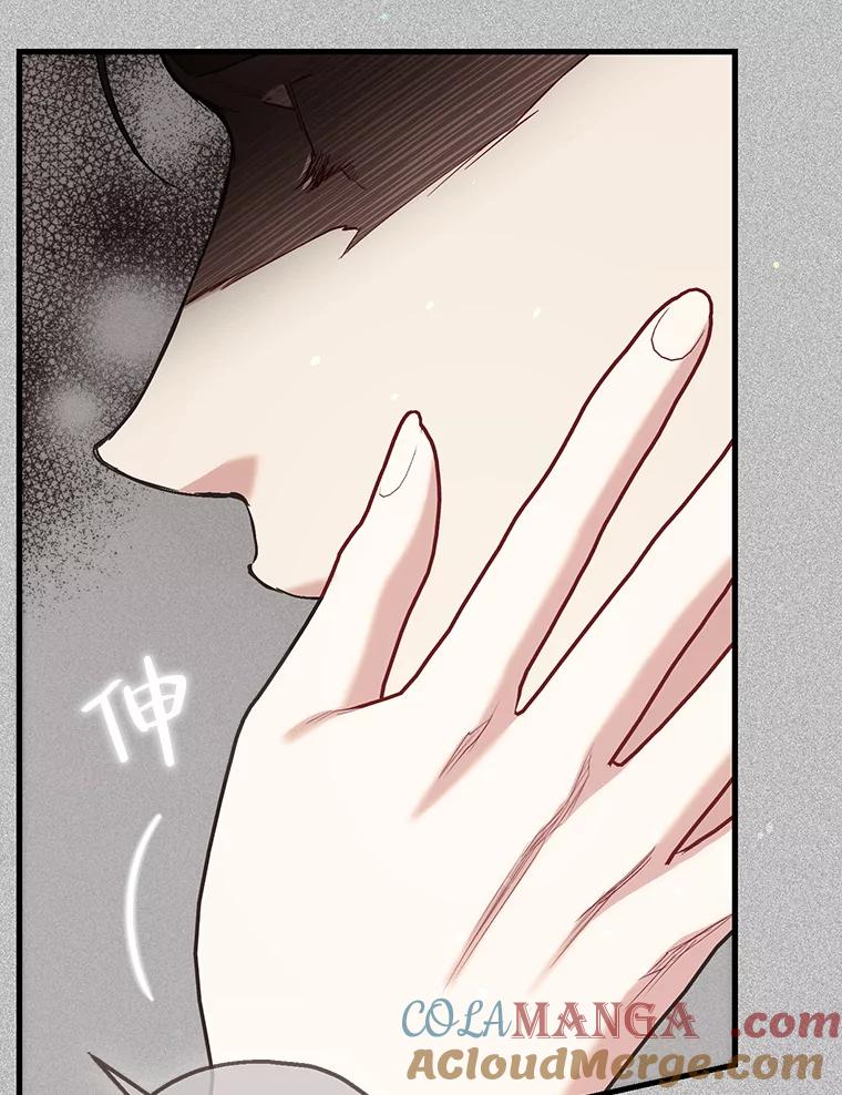 《第二个丈夫》71.走马灯 第25页