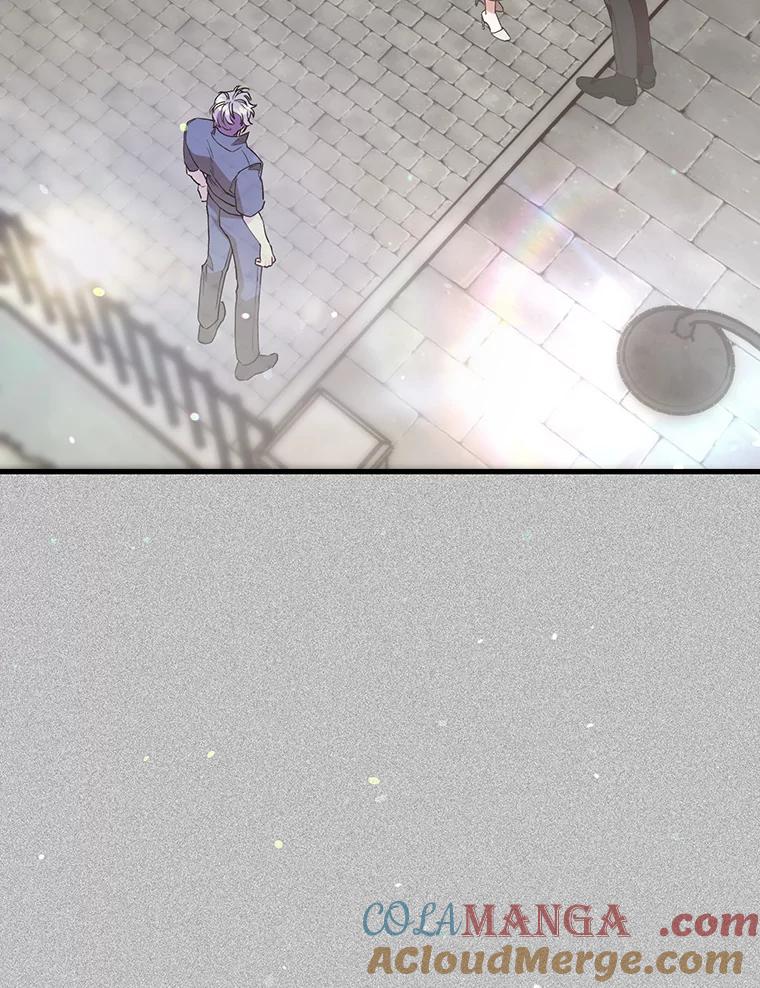 《第二个丈夫》71.走马灯 第29页