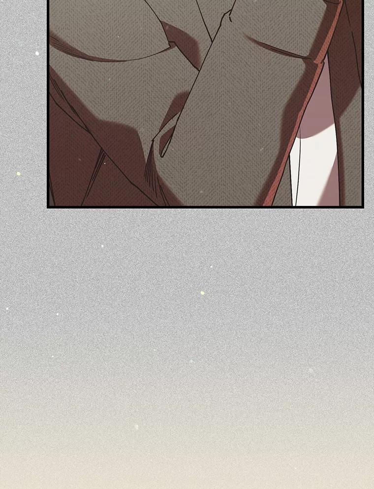 《第二个丈夫》71.走马灯 第115页
