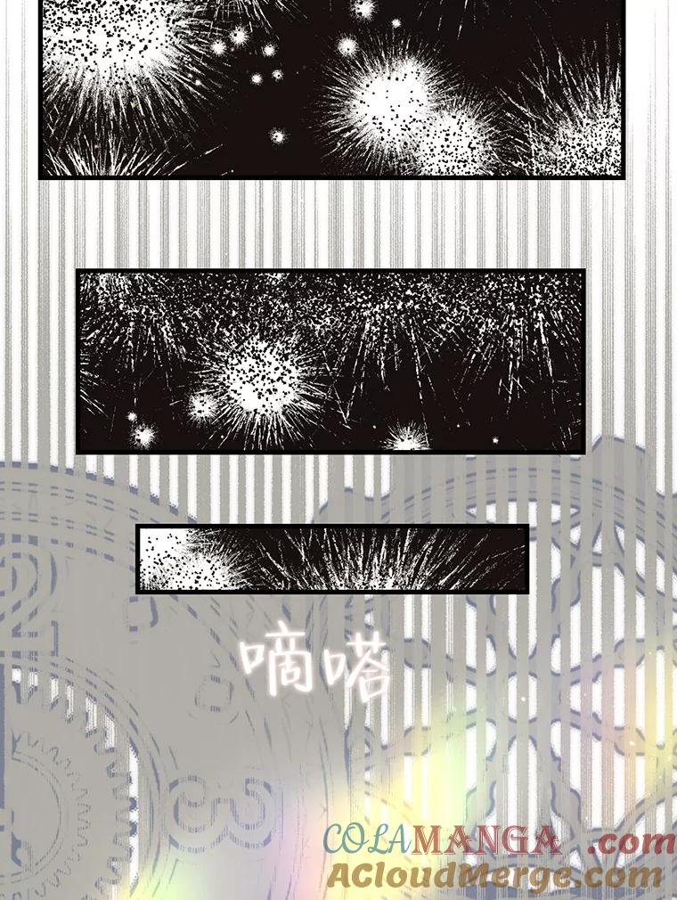 《第二个丈夫》71.走马灯 第13页