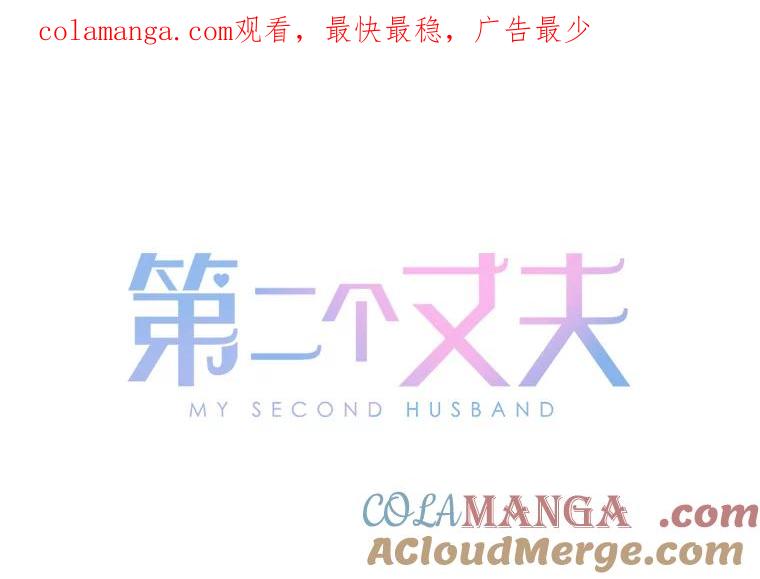 《第二个丈夫》71.走马灯 第1页