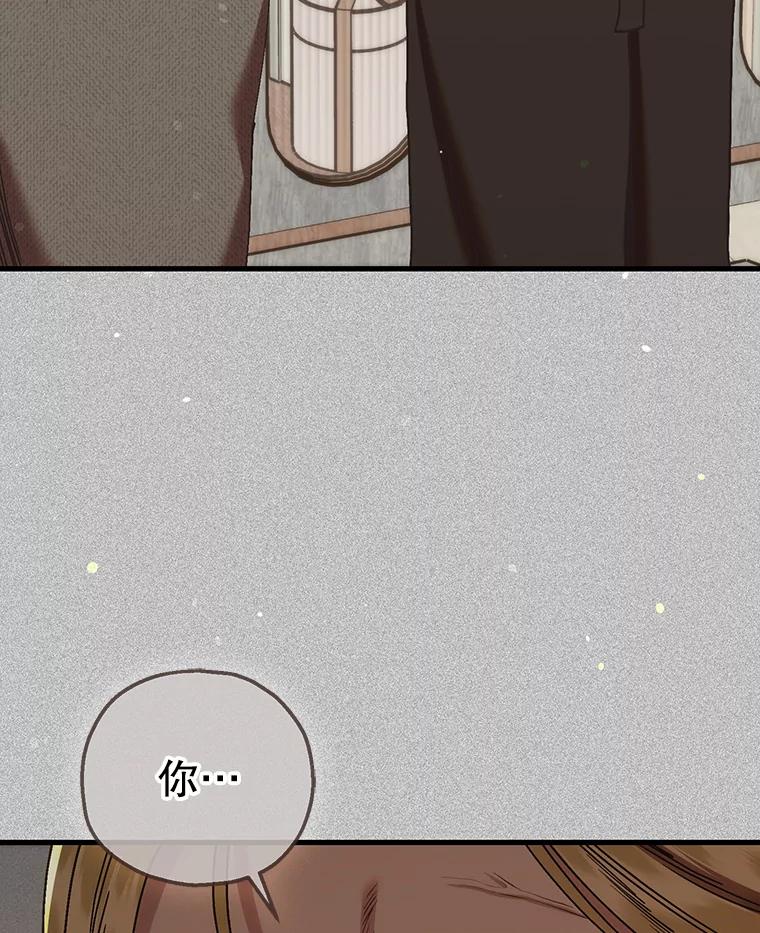 《第二个丈夫》71.走马灯 第127页