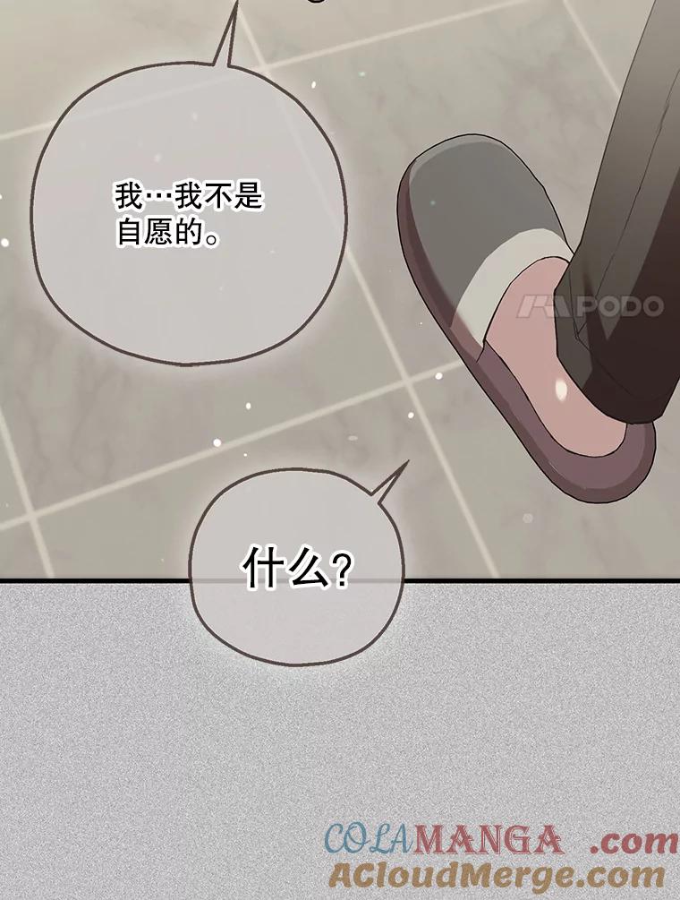 《第二个丈夫》72.幕后黑手 第93页