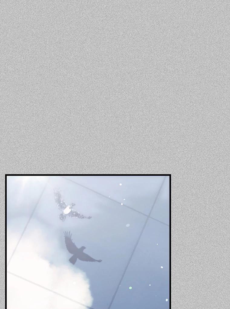 《第二个丈夫》73.愿望 第119页