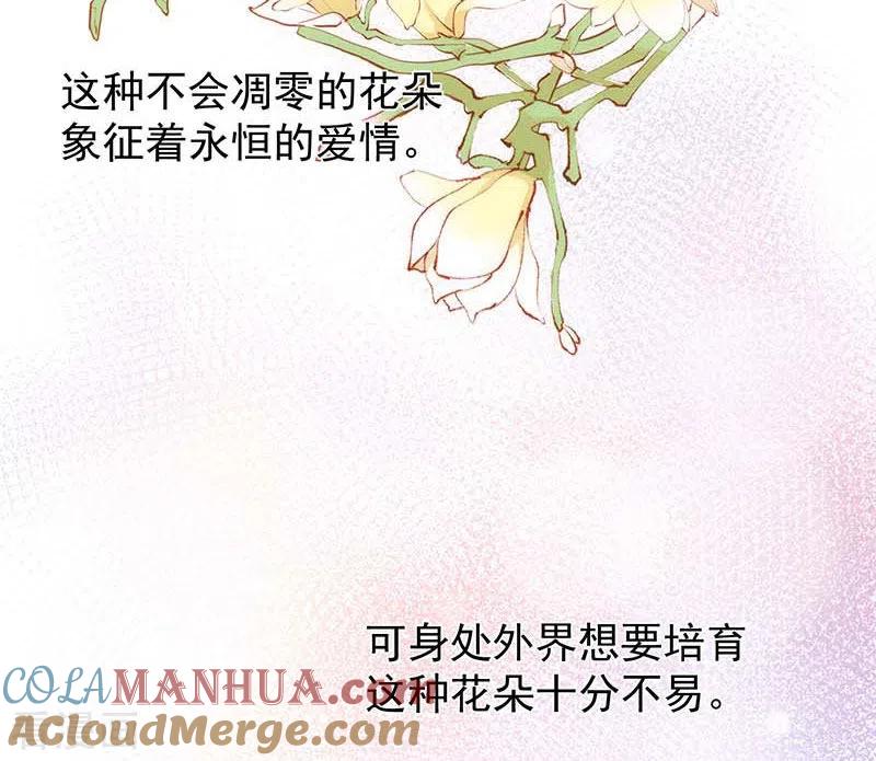 奇怪的情敌增加了 第59话 致佩妮娅 第37页