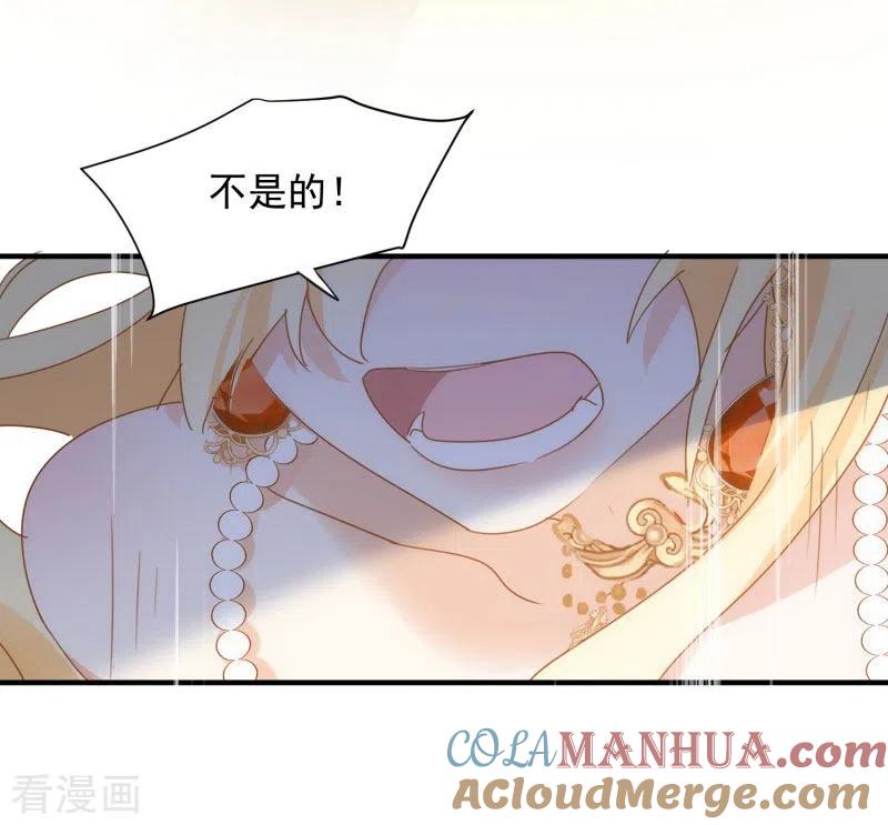 奇怪的情敌增加了 第71话 皇子线（1） 第25页