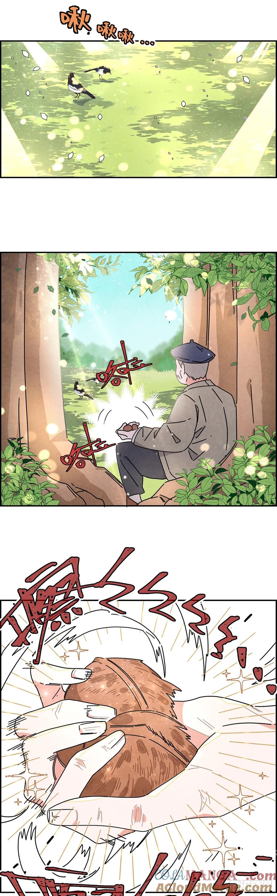 《奇迹冷冷》变装系统？！ 第25页