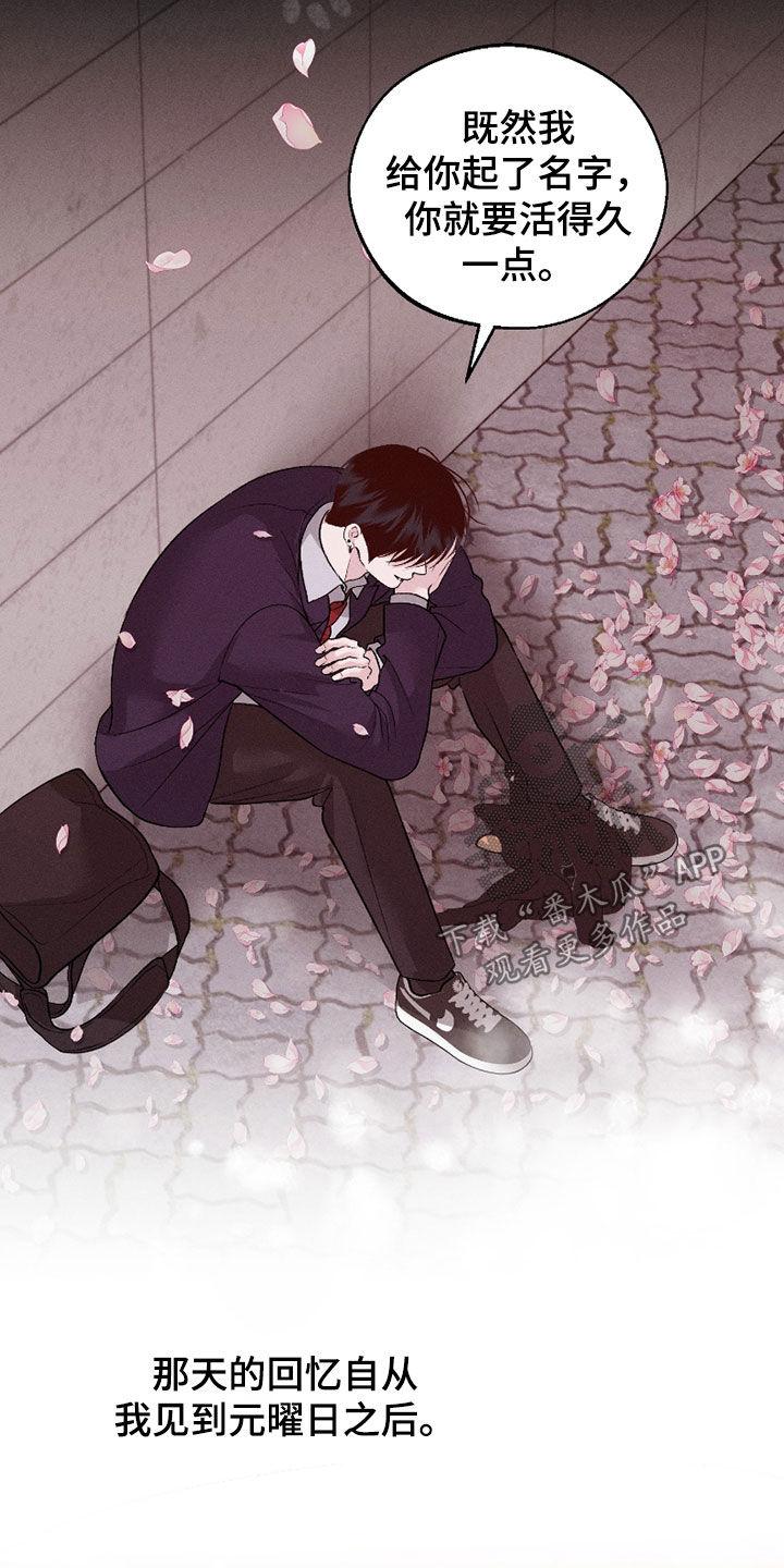 《我的救世主》第87章：【第二季】遗忘 第34页