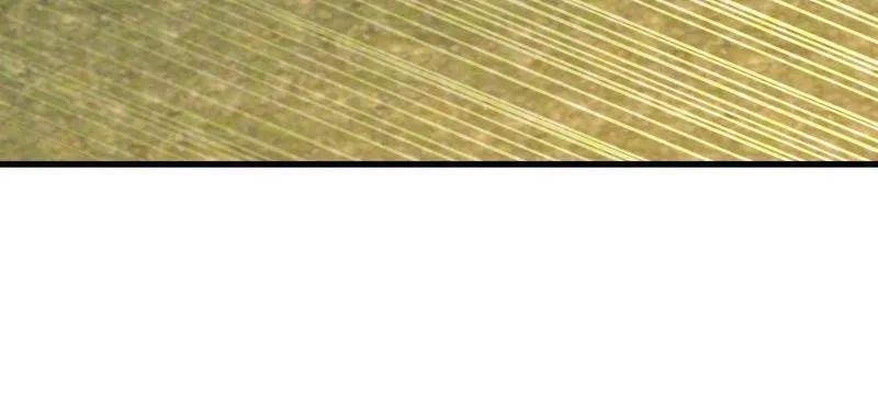 第一序列 第604话 603 摧城 第106页