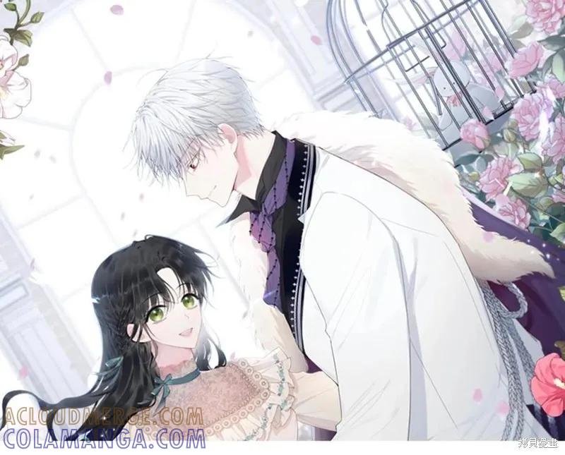 《明明是冷美人小姐却变成了忠犬大少爷》第75话 第17页
