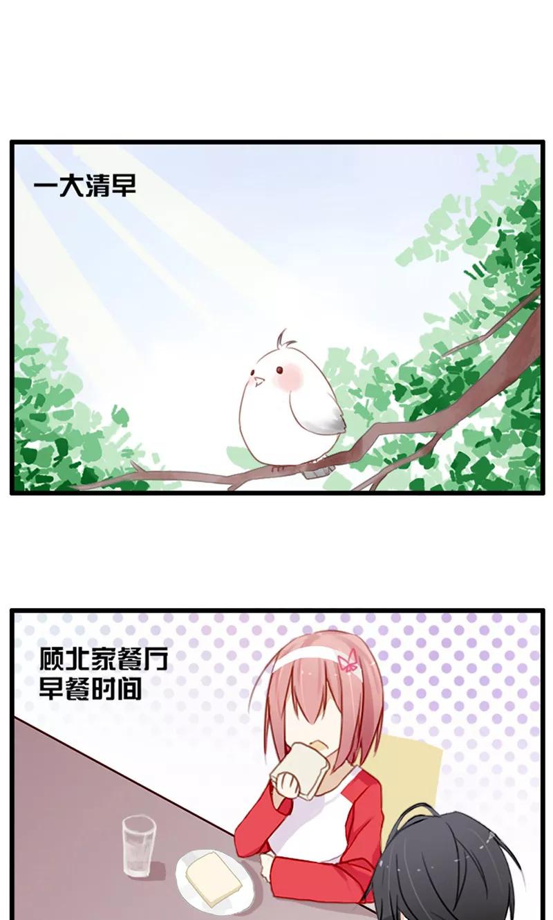 《亲爱的明星男友》第39话 凌小溪的老相识 第20页