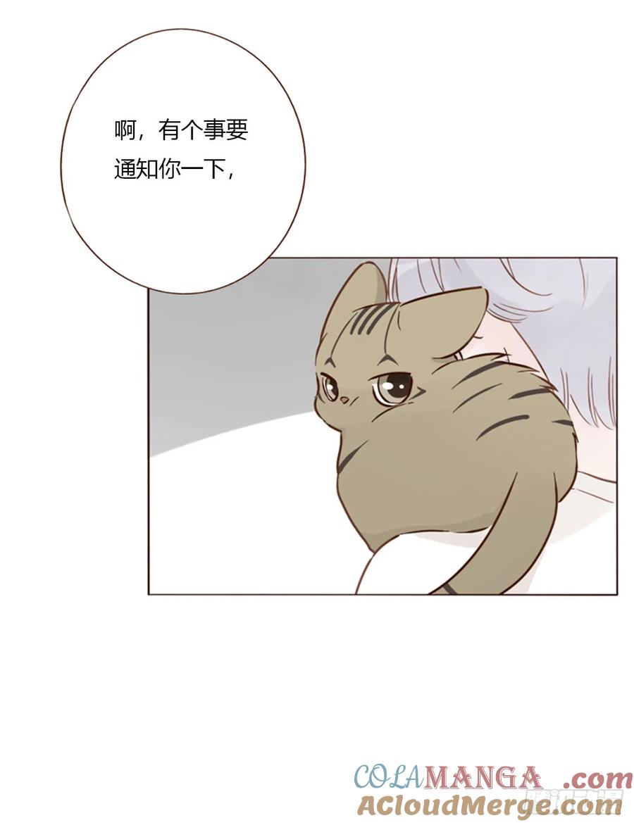 拥然入怀 一六零章 奇怪的男孩 第21页