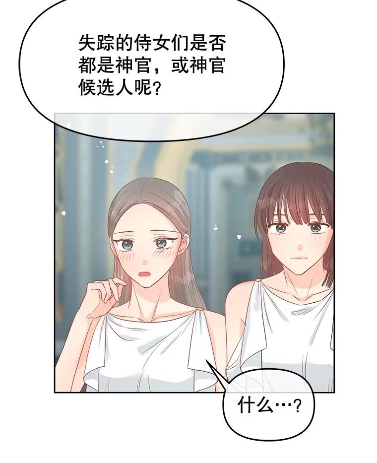 《不要相信那本日记》77.侍女失踪事件 第67页