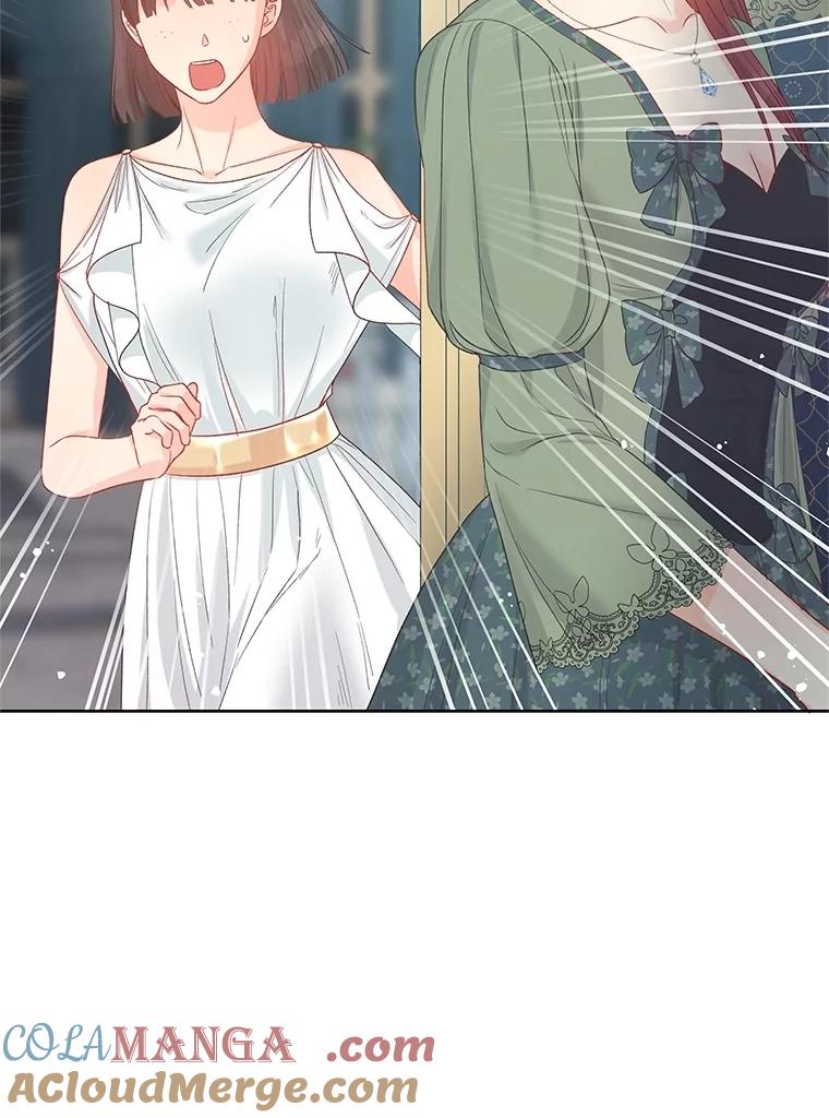 《不要相信那本日记》77.侍女失踪事件 第53页