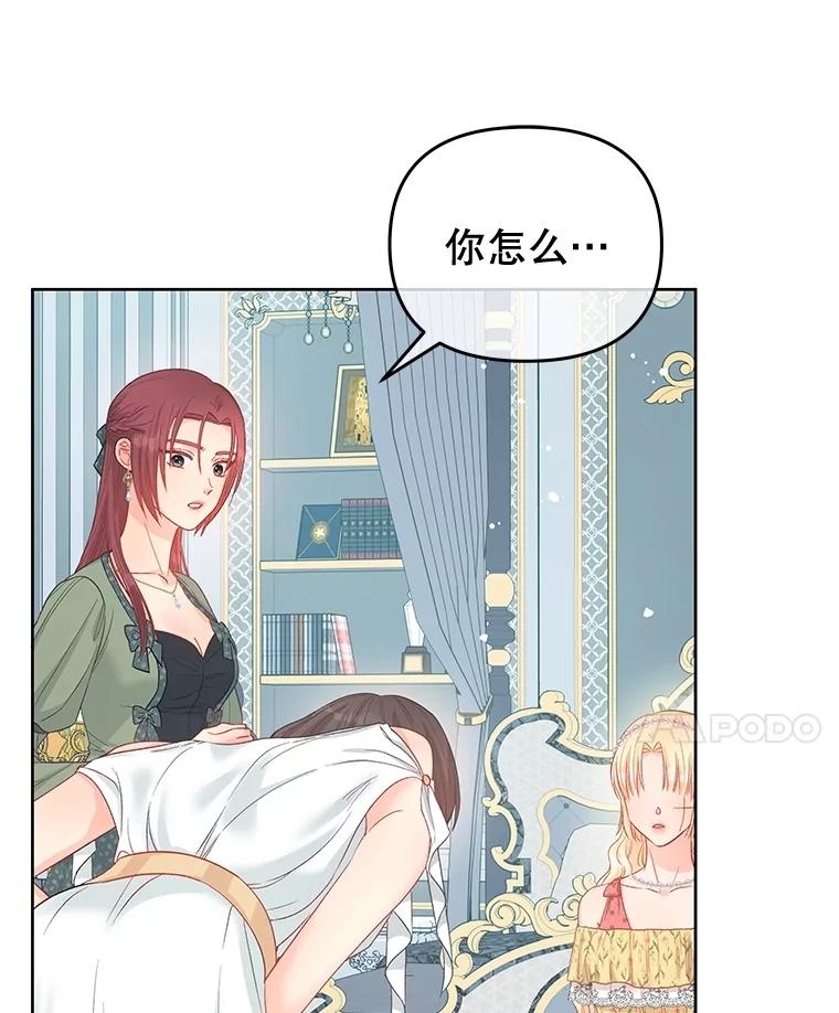 《不要相信那本日记》77.侍女失踪事件 第54页