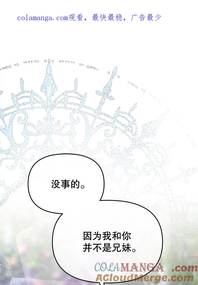 《不要相信那本日记》77.侍女失踪事件 第1页