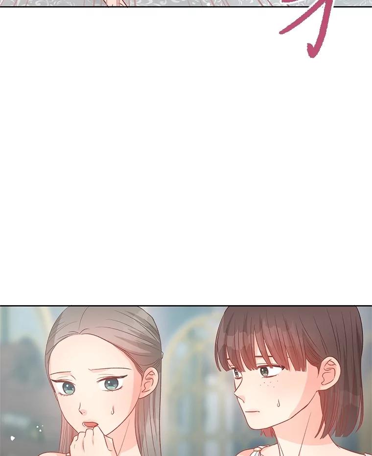 《不要相信那本日记》77.侍女失踪事件 第71页