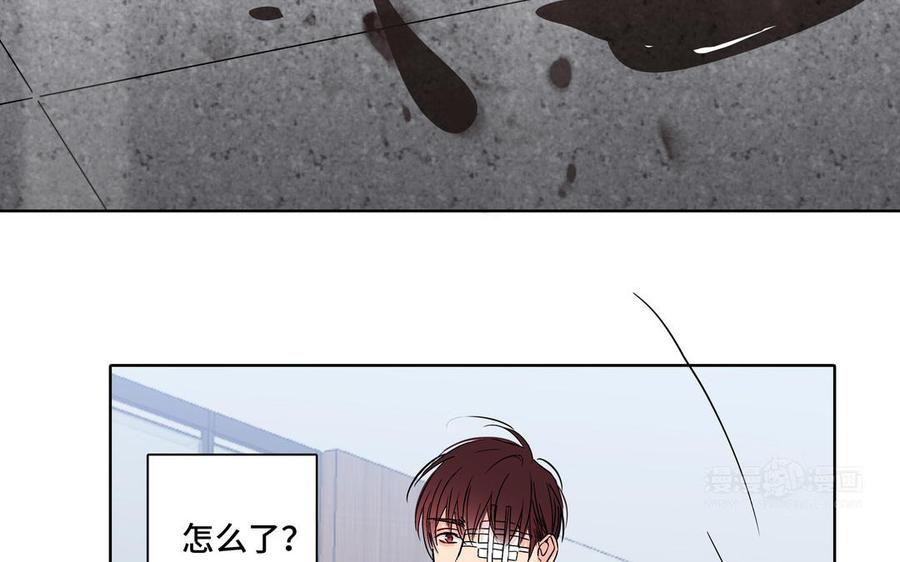 请别随便打开兽笼 第2话 九年后的问候 第84页